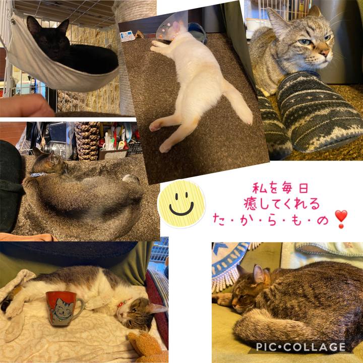 9c087341 e702 4519 afe1 d9aa7bf0473f 1588670120910