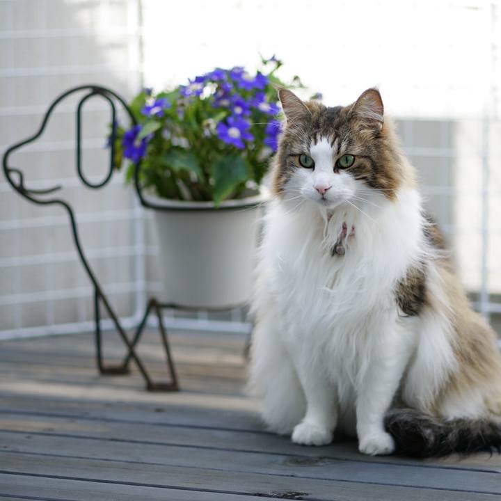 9c0884ee e1de 46ae bd40 da3b2fae0403 1651629014601