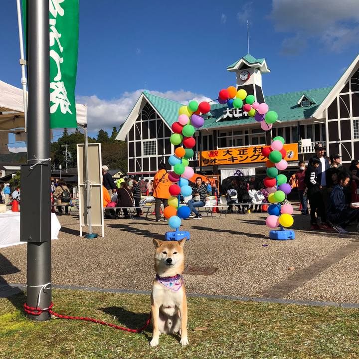 9c088f95 9823 4ffb 9290 c6426a114121 1540708262346