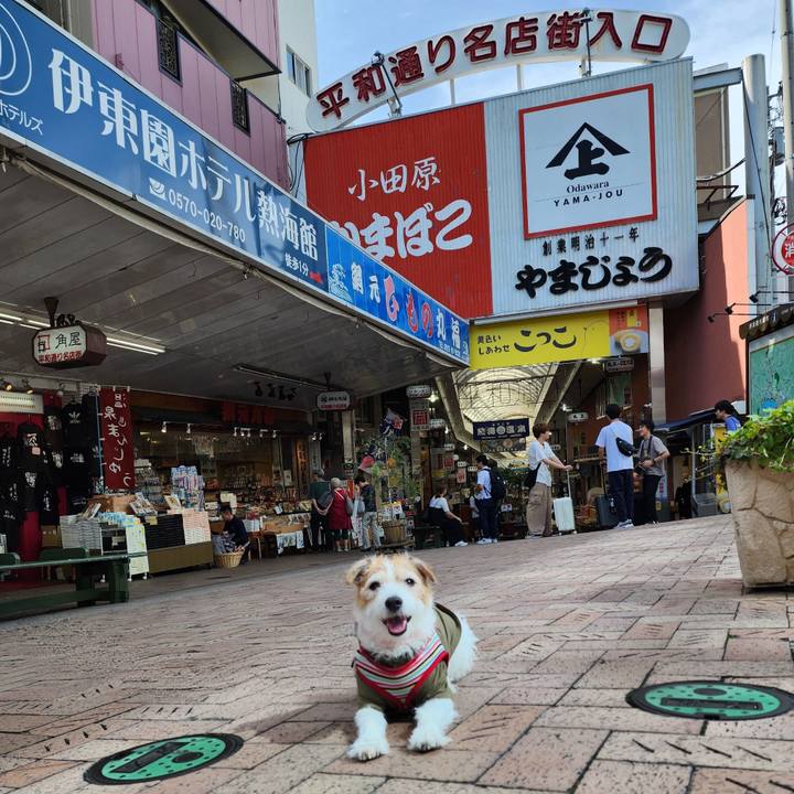 9c08aa83 9256 489e 90f7 467aeac2fa20 1758548156071