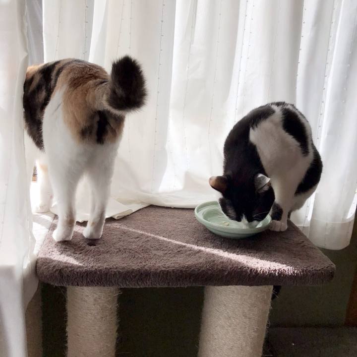 9c08f0b4 ea23 42a9 a557 3a3bf54bfd04 1537317698181