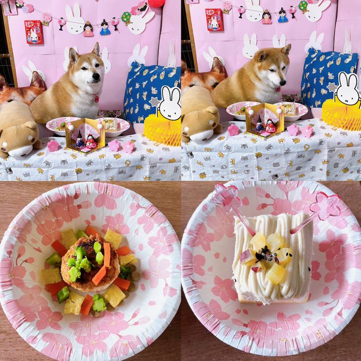 9c08f721 07c1 4655 a184 3e9c9bfefbeb 1677756812710