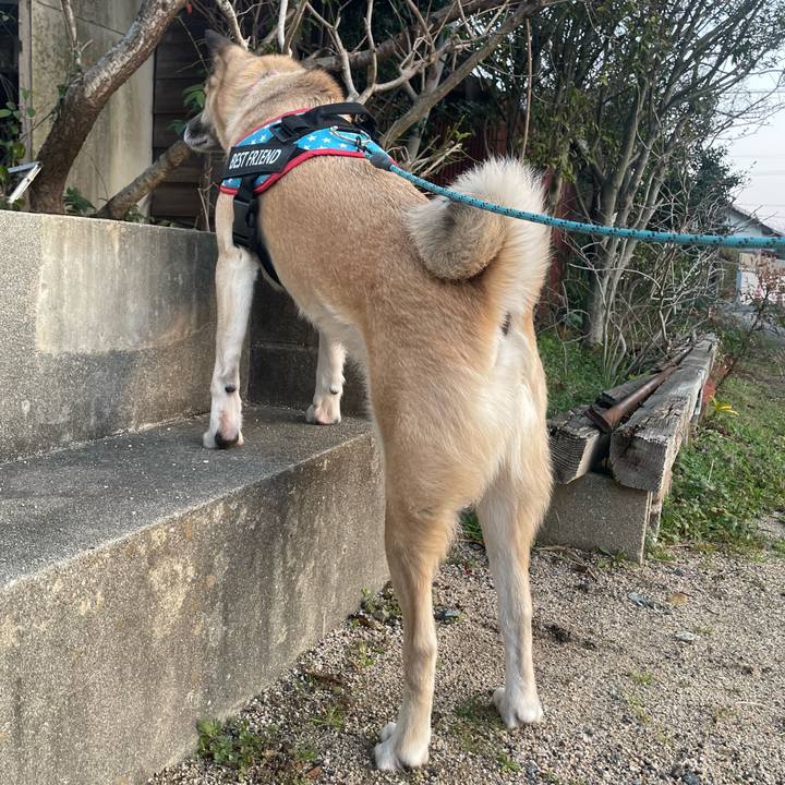 9c08f769 6935 43b4 a3ca dd0d12893d4c 1709901337075