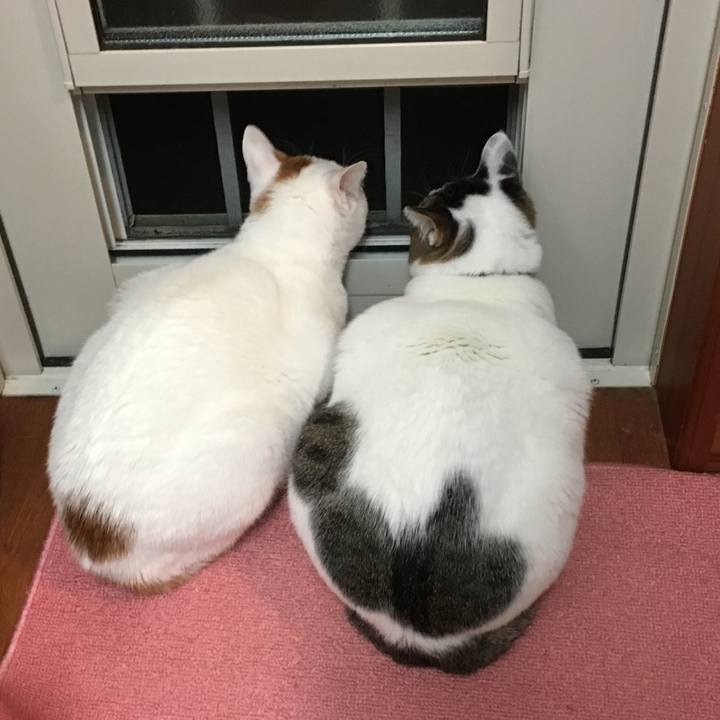 9c0920ce 9843 4d75 b326 09fa6c0432d4 1516591850097