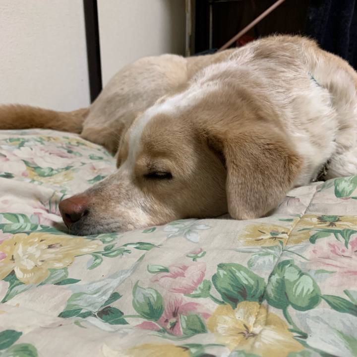 9c0938f6 69ae 4dc1 80d9 94a7a06bf25f 1558883423230