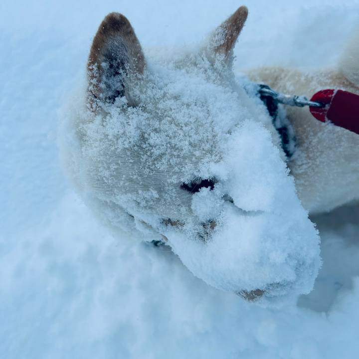 9c096ca7 10f1 4372 8eaf af9e8144e219 1708643348720