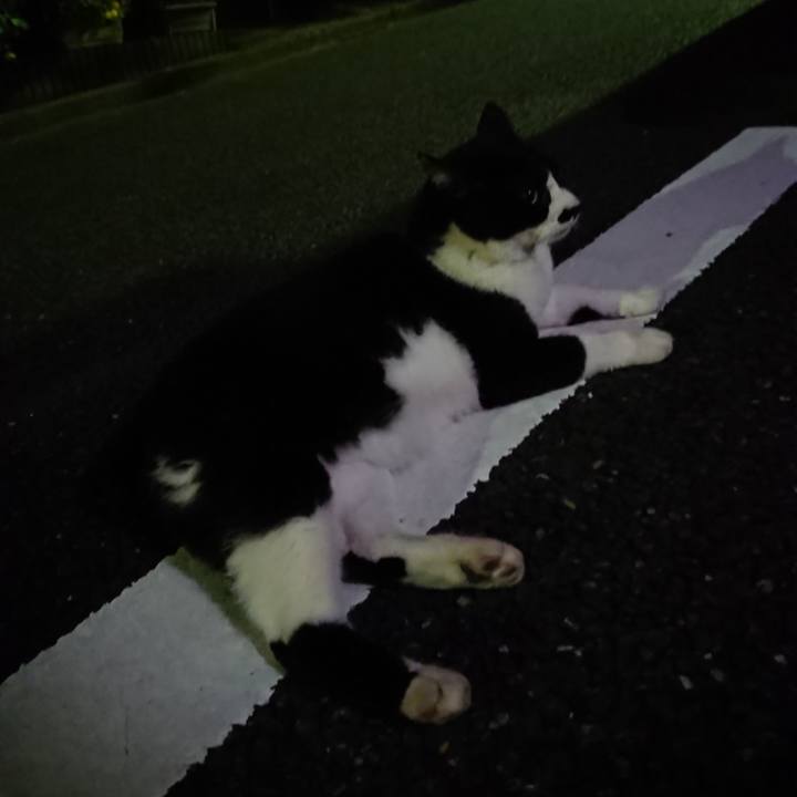 9c09ff3e 2f92 4c8c aaa5 ee4093b316f8 1530010019305