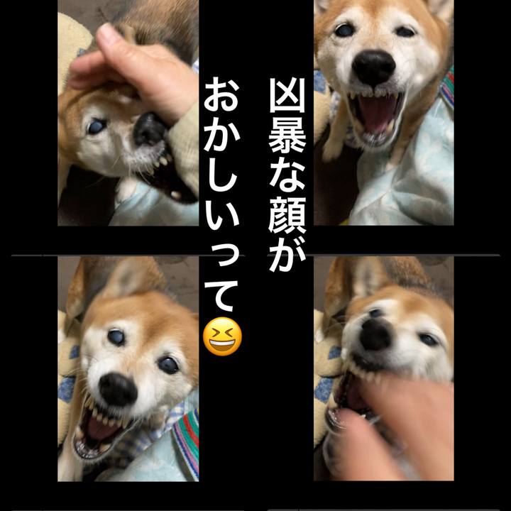 9c0a0999 11f5 47a3 a356 798411b3f3f2 1704887017734