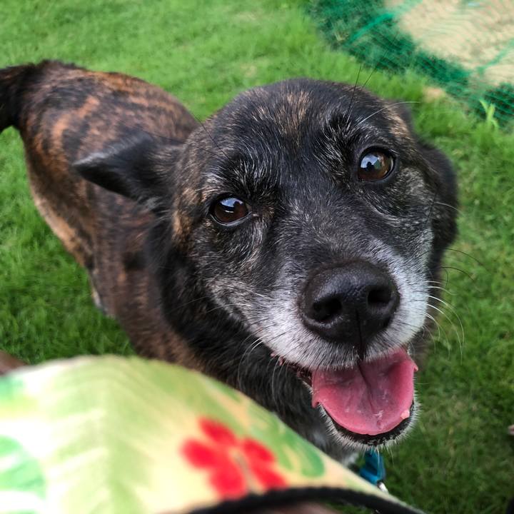 9c0a38c8 b521 4800 9b94 d867f828b545 1565334723260