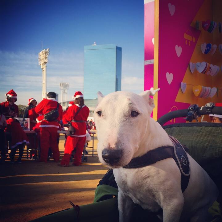 9c0a4c49 2fe3 4750 ace4 ee9c3b89816e 1512289427682