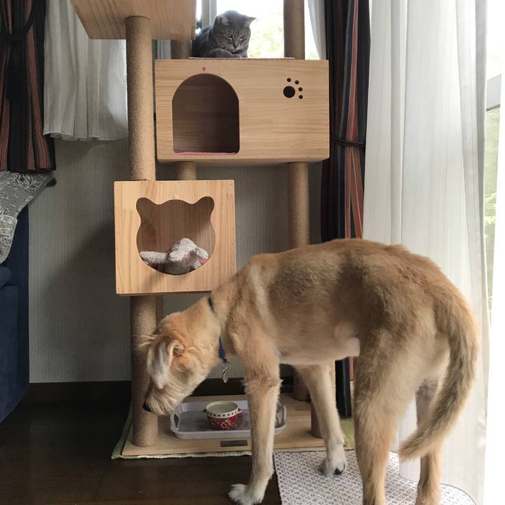 9c0a6e1c f07c 4a61 89ce a32122ca53f8 1596440431282