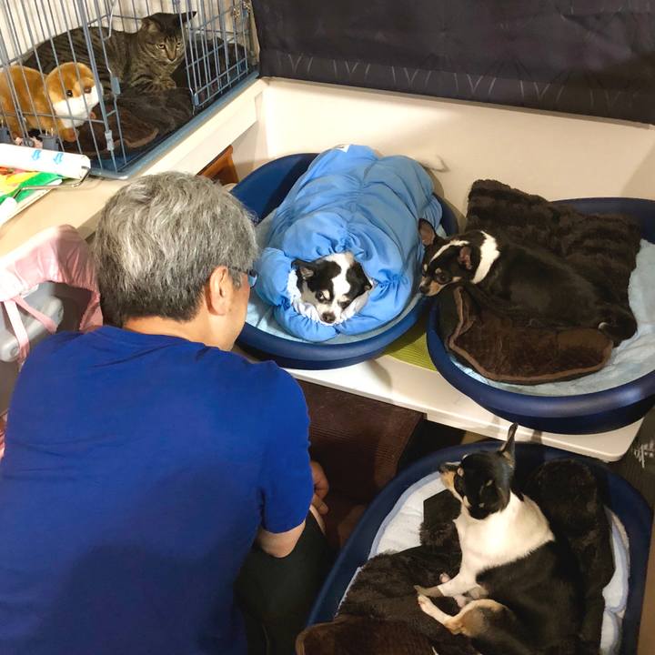 9c0a73e4 119e 4f42 bcbb 3e77d21b0e3d 1527426256718