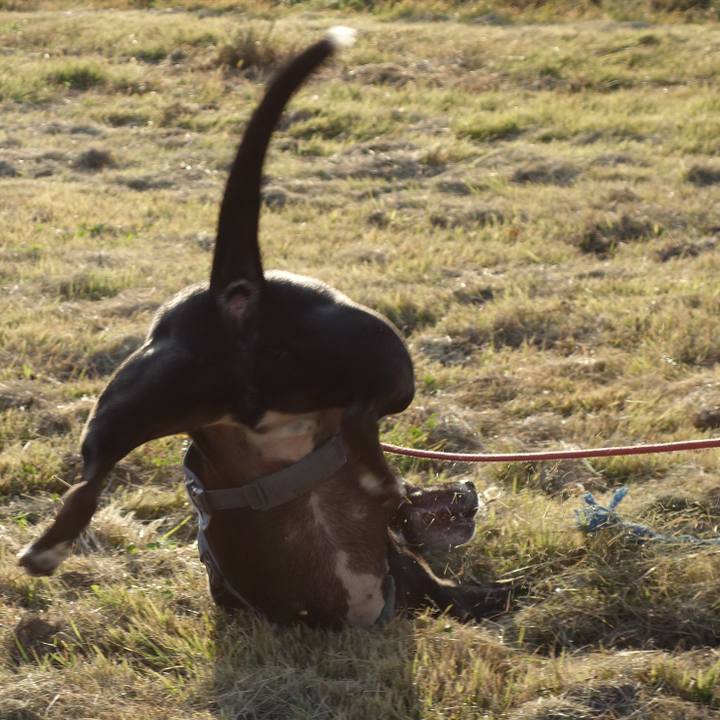 9c0aaf64 29e1 4458 9534 b7d20a04b71b 1731544991013