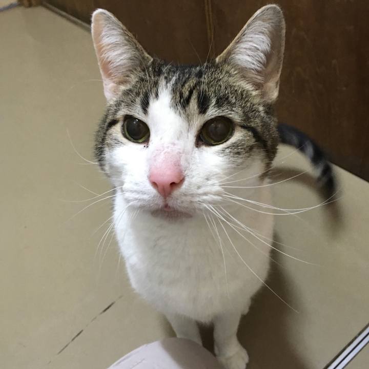 9c0ab7ab d3ed 4bf3 82d4 ba5d4e2e8211 1554800912728