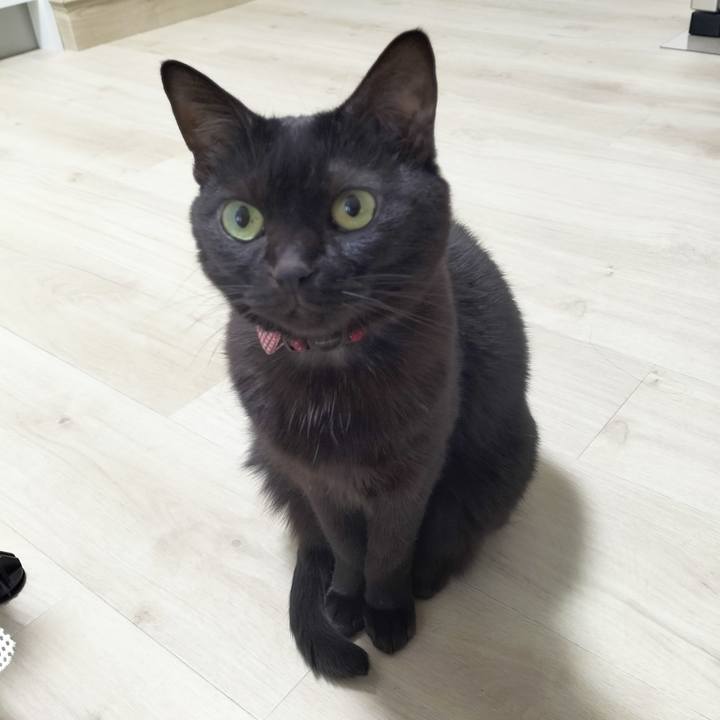 9c0ac3be 9e40 460f 83af 9f2f66e7495f 1704341109252