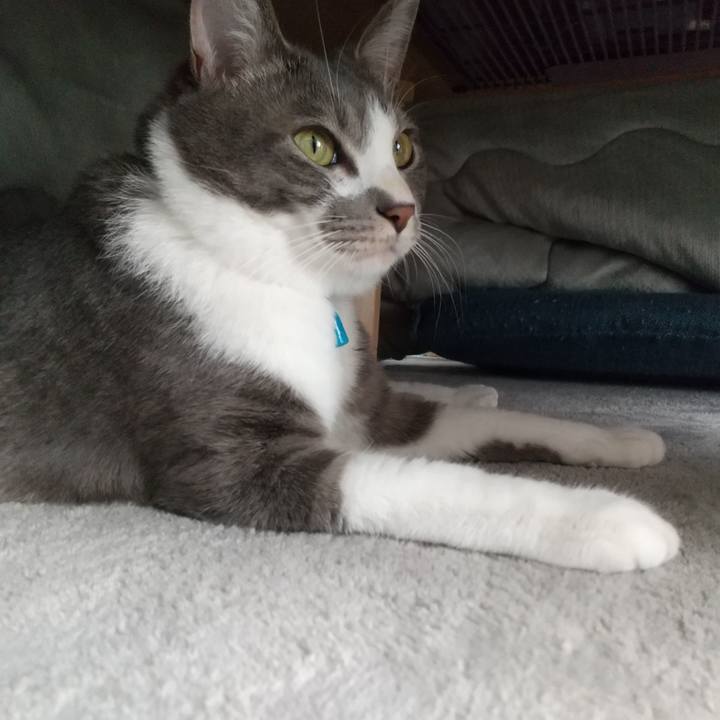 9c0b3164 1cf0 4613 8245 79bc15d77648 1614219245626