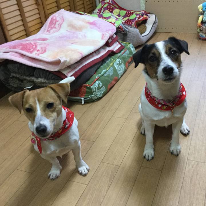 9c0b48cc 3a8b 4048 ba42 898c6bb7403c 1512538798256