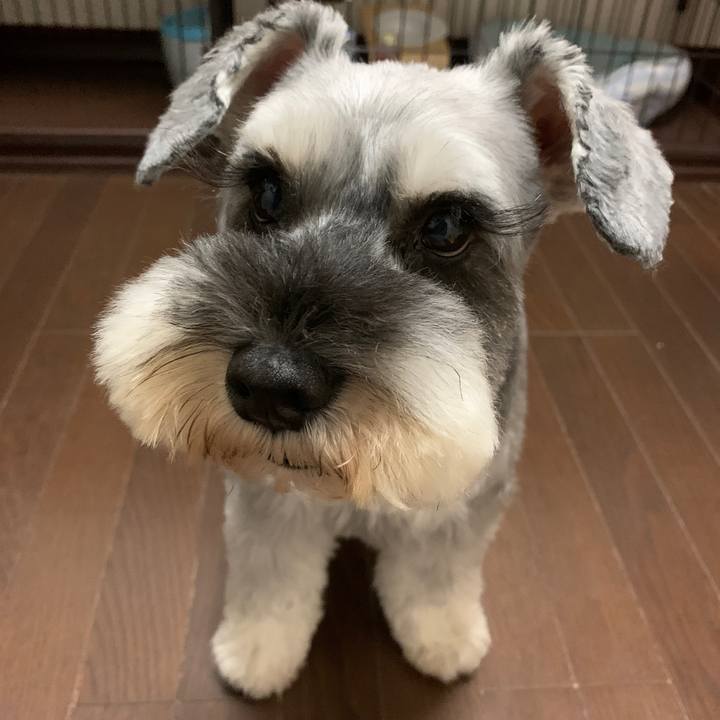 9c0b6e9a 02e9 4943 8efc 2a54e45085e2 1665215334287