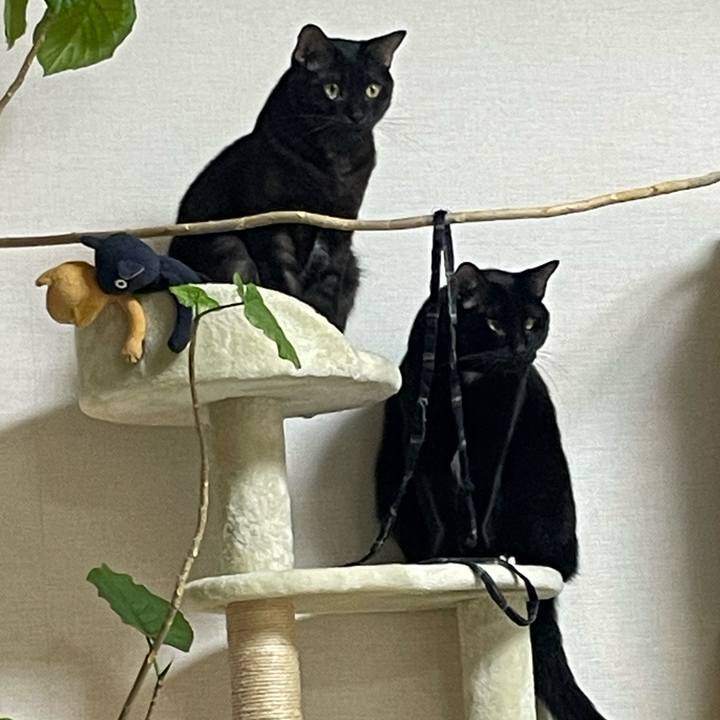 9c0bb879 42aa 4290 adb0 bb680f6f1998 1764205878129