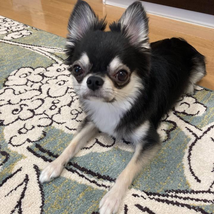 9c0bdc2c 04bf 47c0 bcfe 1e57ad145b1f 1626580147946