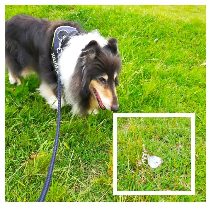 9c0befaf 3e2a 48a8 a456 f9db399eb1e7 1623758607578