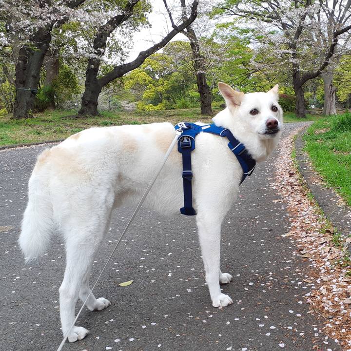 9c0c0578 cc55 4cf5 b5a2 3a2332d4f9fb 1680417362074