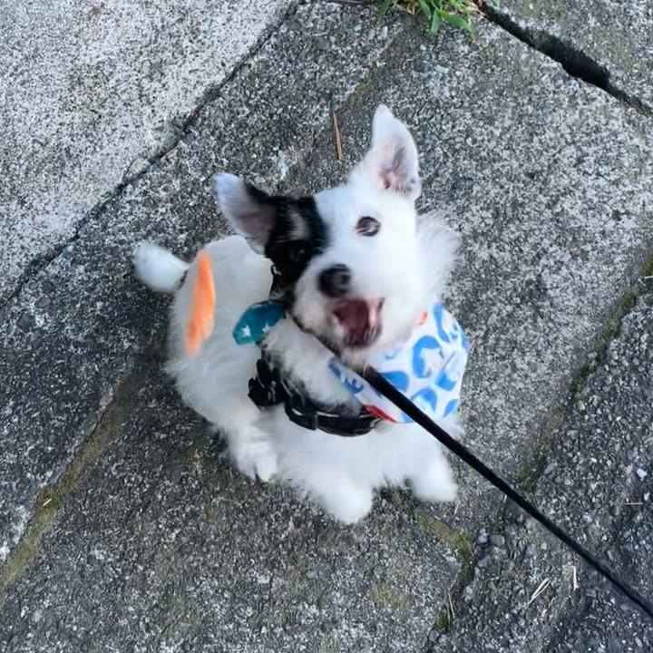 9c0c1416 e1e5 4057 b6b1 c6fc9640269a 1723676518808