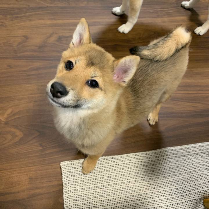 9c0c176f 7468 4b3d bf85 84d20e1b8669 1620301051219