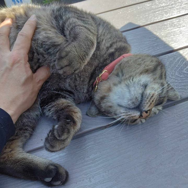 9c0c74a2 f8e2 4c15 81f2 18407f1ec5c0 1713163709697