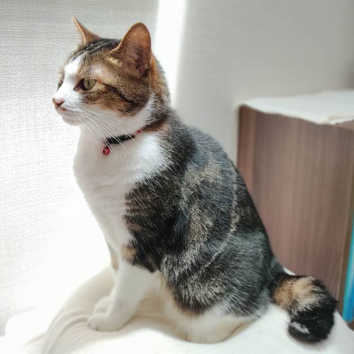 9c0c86f5 607e 4937 8675 29284d51bc43 1625044957983