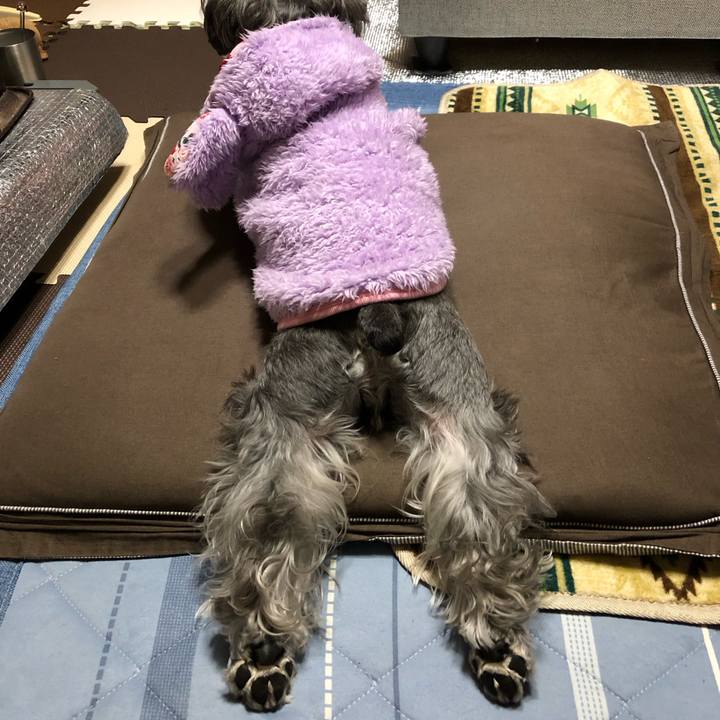 9c0ca848 252a 4b2c 968d 871aec551aa1 1704804343303