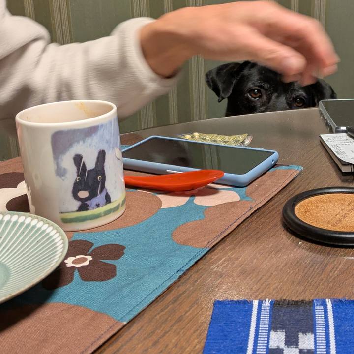 9c0cce7e 9176 45dd 909e b3e61894d1e2 1738802050231