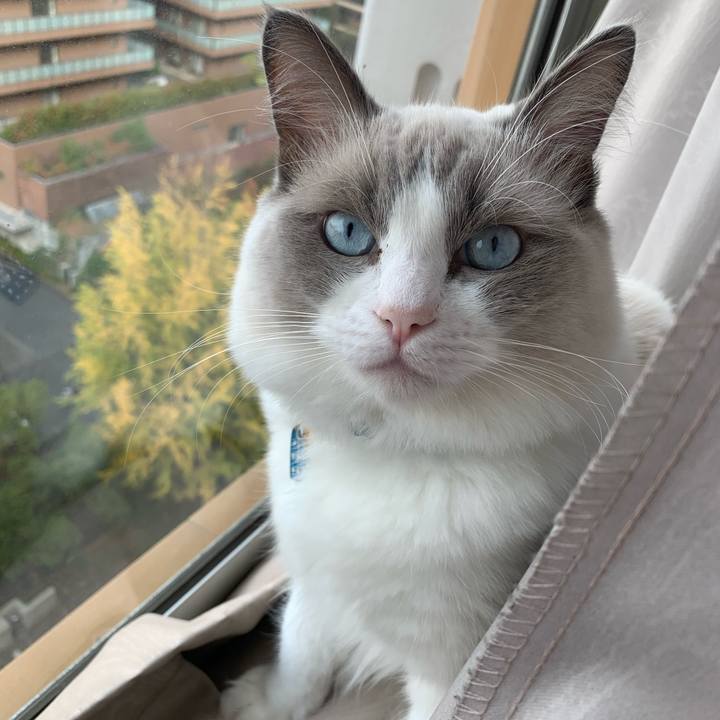 9c0cd2e0 7367 42a5 8c82 3e15a46f81c9 1635805530439