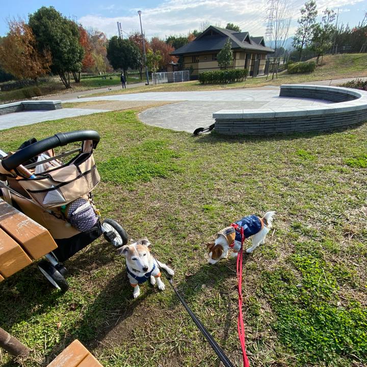 9c0cd591 98a4 4218 a29f b19bb5d70346 1639268088129