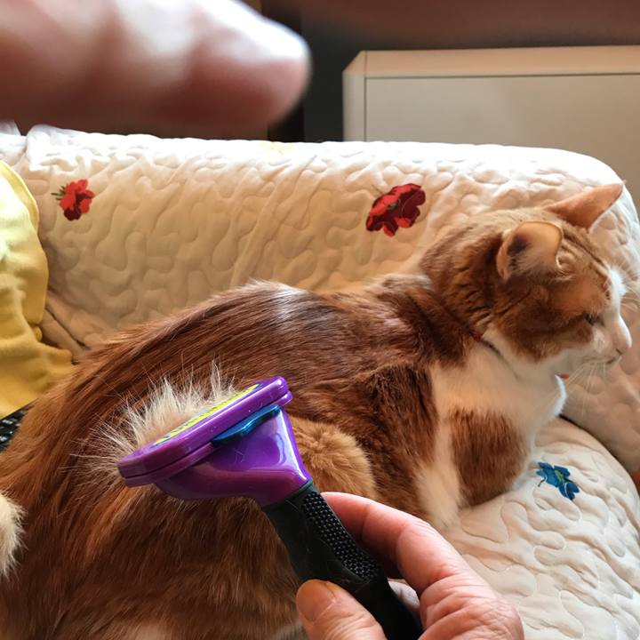 9c0cf6df 3c57 42f6 a54f 5f77986fc16e 1550914447775