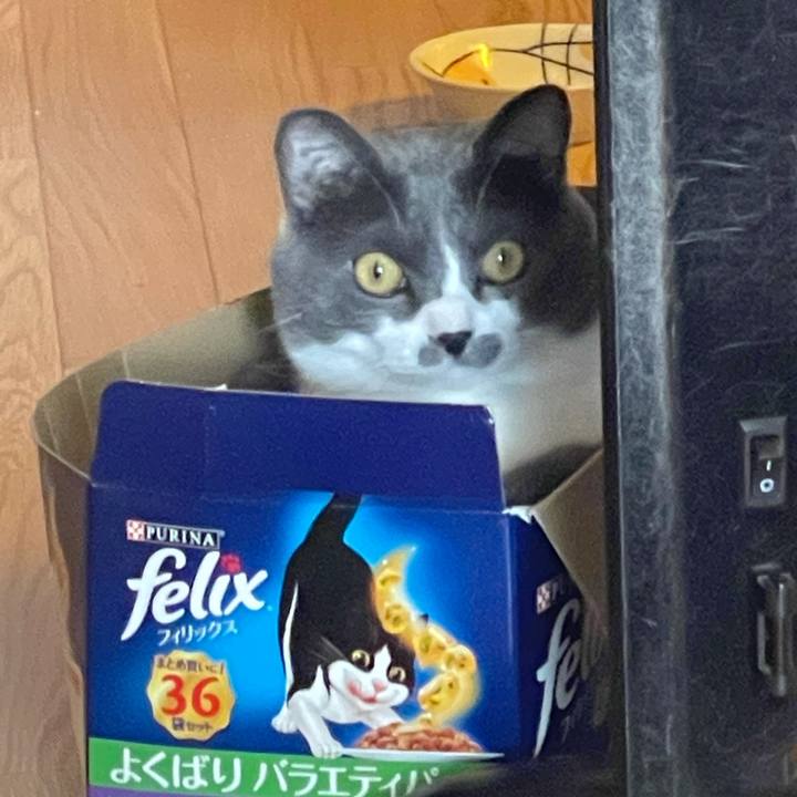 9c0d4243 0cdd 4c24 9761 7181d093fb26 1634170737552