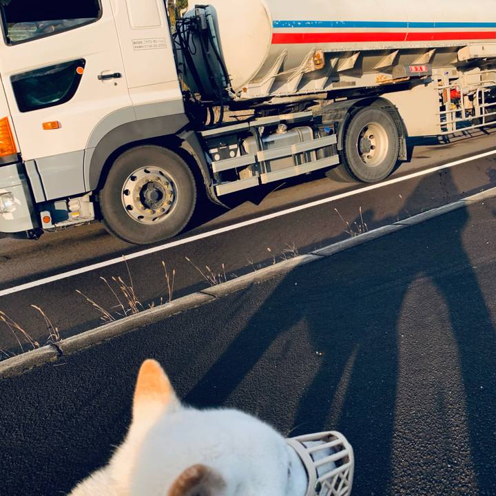 9c0d5baa a07b 447a b85f 929d6963f662 1602719533066