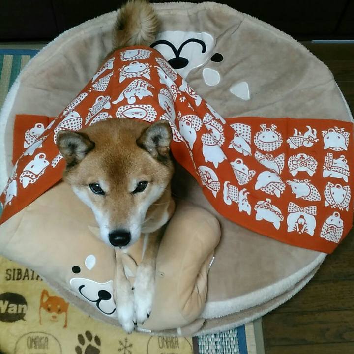 9c0d5d9e a1a2 4e1b 859b 2912b0c2878b 1575101247496