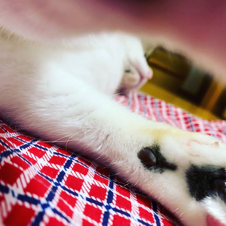 9c0d63aa bd8f 4cd1 b993 24256297ff19 1629637949165