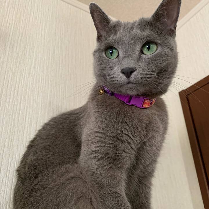 9c0d8e3c ca27 4de8 91ad d36f7b4e6f0a 1653266501892