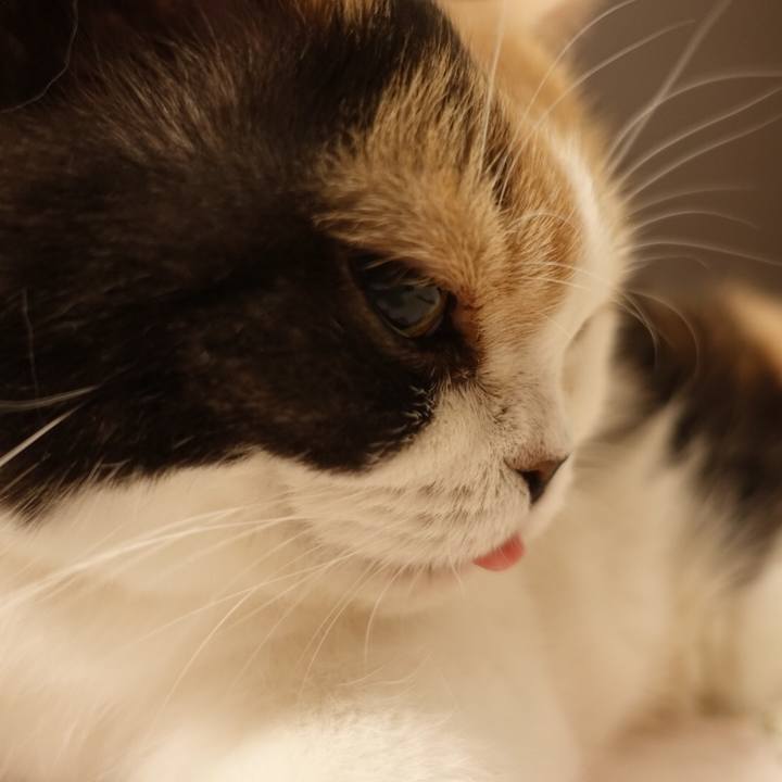 9c0dac7b 5d5d 4ada ba84 a3114f244d01 1559569844434