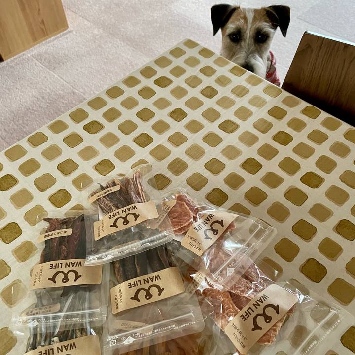 9c0dd5c0 600a 4a12 bb4c 1daee3d695e0 1675837842493