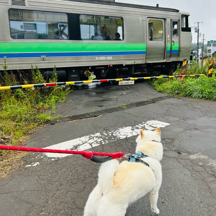 9c0dd982 52e3 40fd b92f faa9424070d7 1723599208717