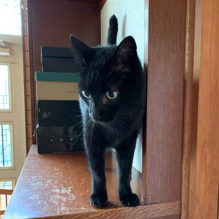 9c0defb6 8c25 4599 ac63 718f5b93ee81 1573602207103