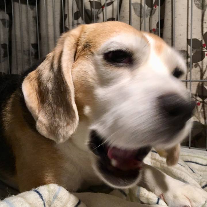 9c0e6405 c924 4db7 8e81 86d2f3a0abbd 1535241590568