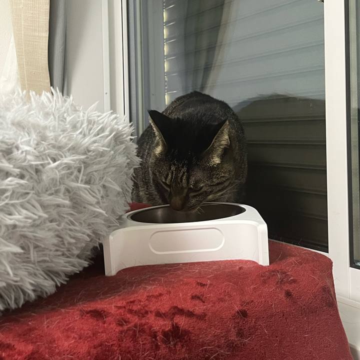 9c0e7296 ad4a 4f5f b660 6dfd3f3cd7d3 1765060685067