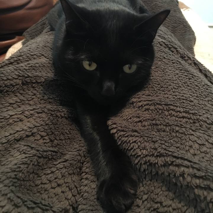 9c0e8327 9226 4622 baa0 e3ff78cf6f77 1513404032236