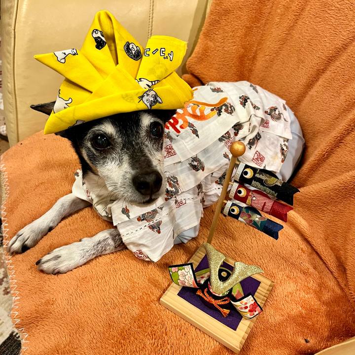 9c0e9d5e 13d8 486e 9ef9 333a5893c854 1651746554050