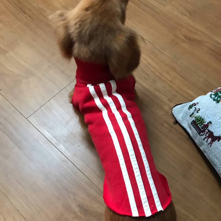 9c0e9ea0 6bd5 42f1 8e6a 63c576d98917 1544942711916