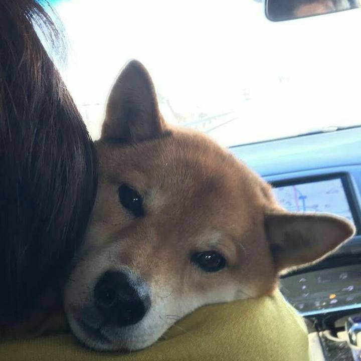 9c0ec648 6302 4faf aaf7 680bae53eaa3 1549199734115